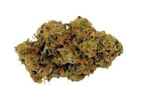 Mediprocan African Ruby 28/1